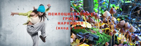 герыч Алексин